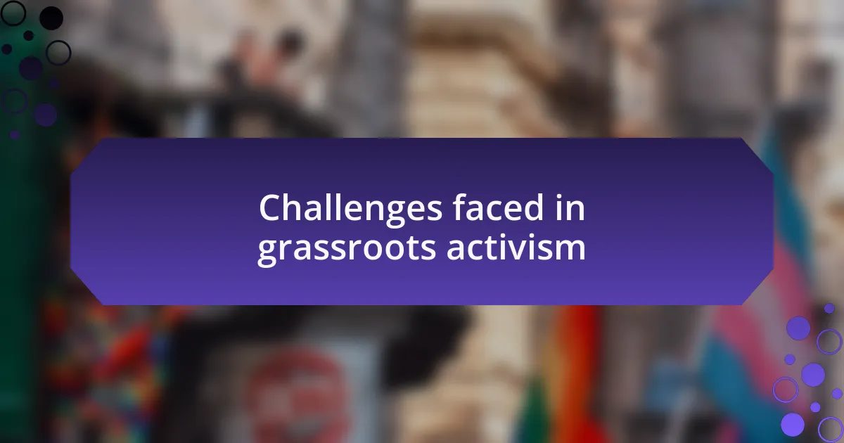 Challenges faced in grassroots activism